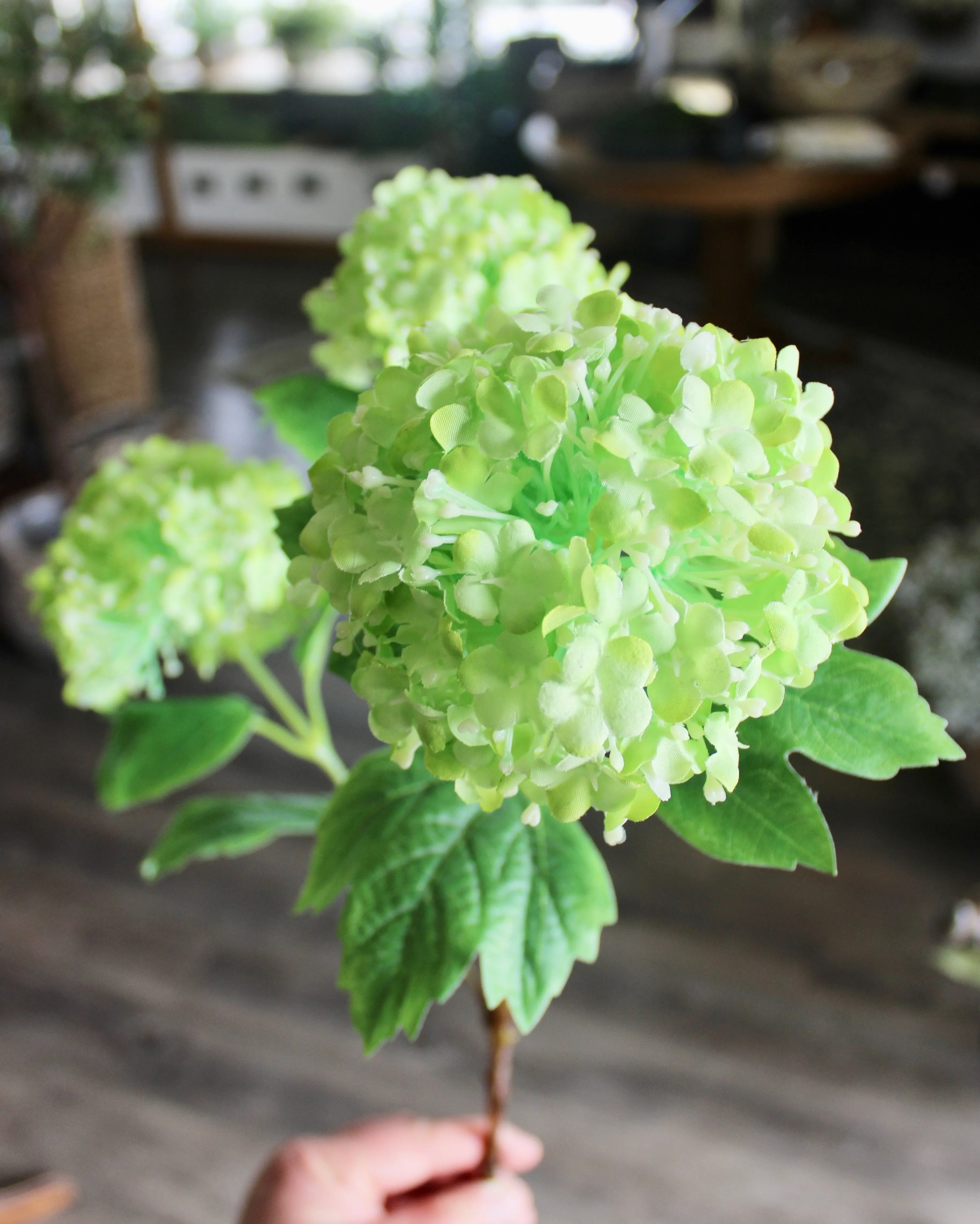 Viburnum Spray